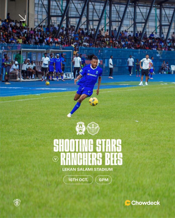 Relief for Salisu as Shooting Stars Shoot Down Ranchers Bees in Ibadan